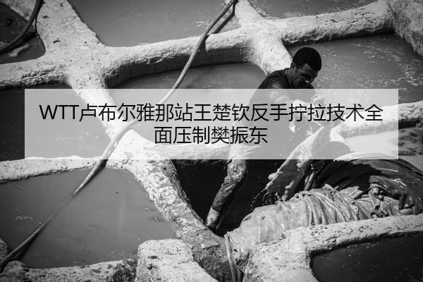 WTT卢布尔雅那站王楚钦反手拧拉技术全面压制樊振东